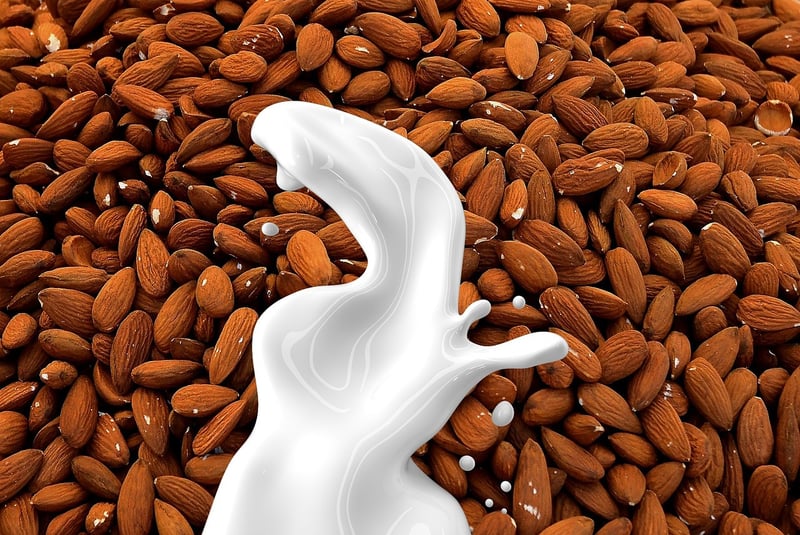 Dairy-Free Alternatives